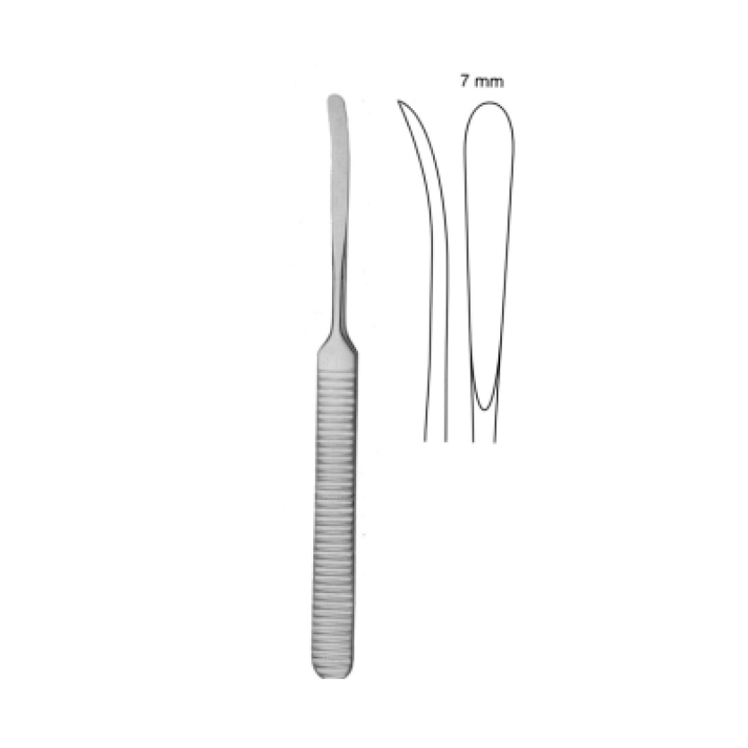 WILLIGER RASPATORY, 16CM