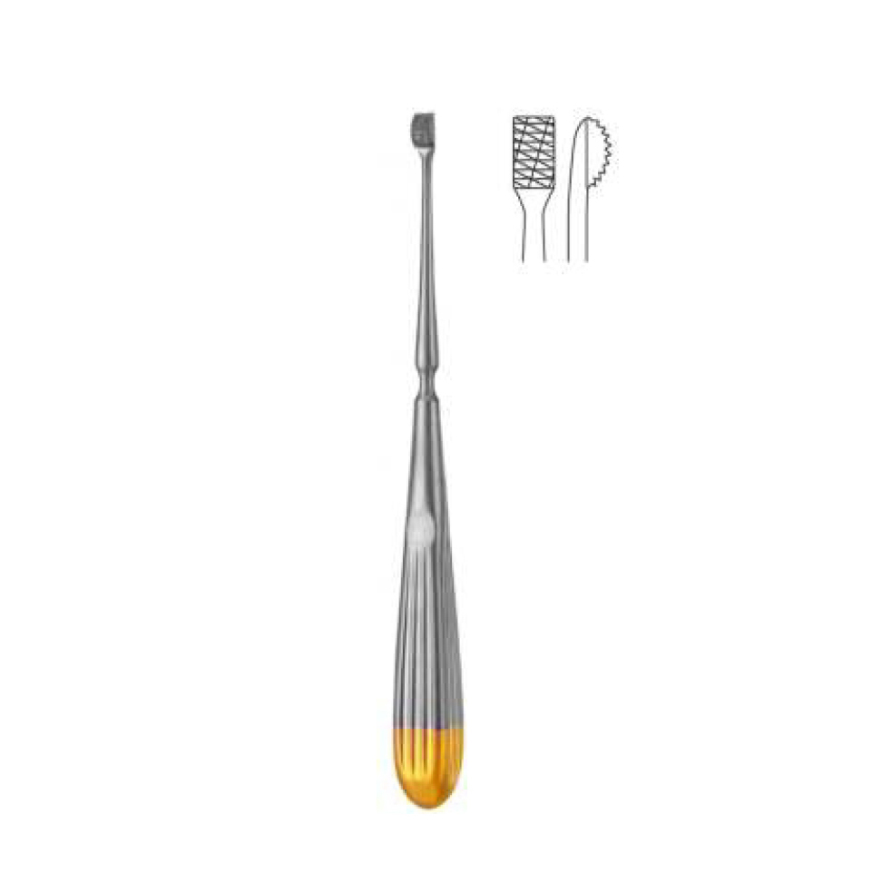 LEWIS T.C. NASAL RASP