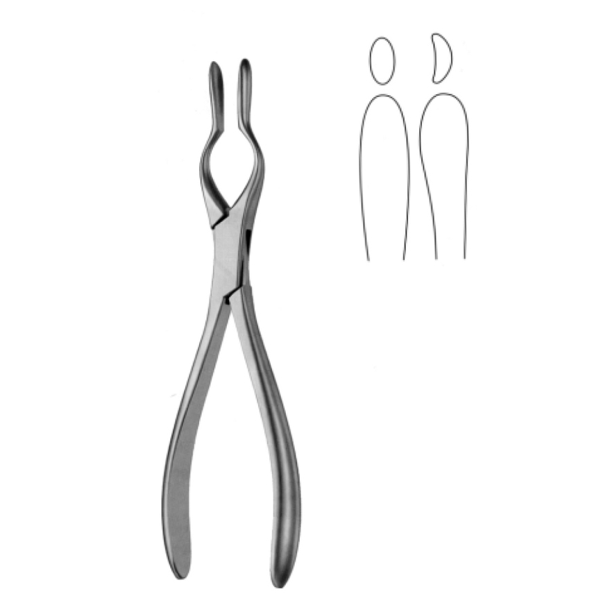 WALSHAM SEPTUM STRAIGHTENING  FORCEPS, 23CM